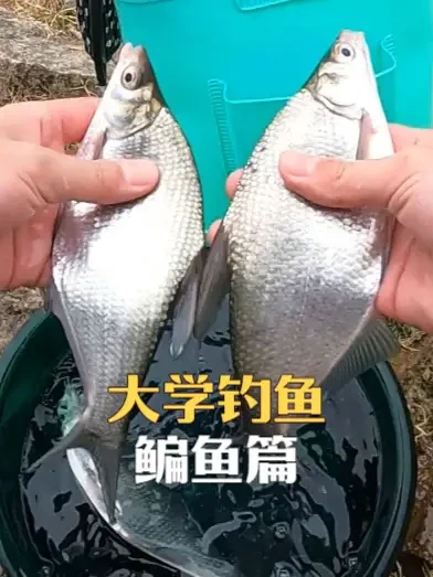 Ai还能这么玩，钓鱼佬赶紧学起来😂#原来钓鱼才是抖音运动顶流 #deepseek #渔之源怪兽小综合 #钓鱼王地狱猫 #神窝颗粒