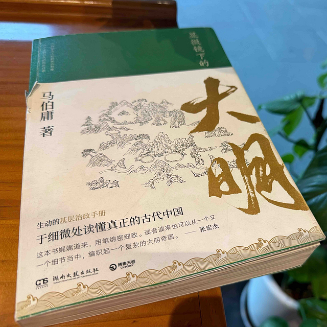 当显微镜对准大明，从马伯庸新作看历史书写的范式革命