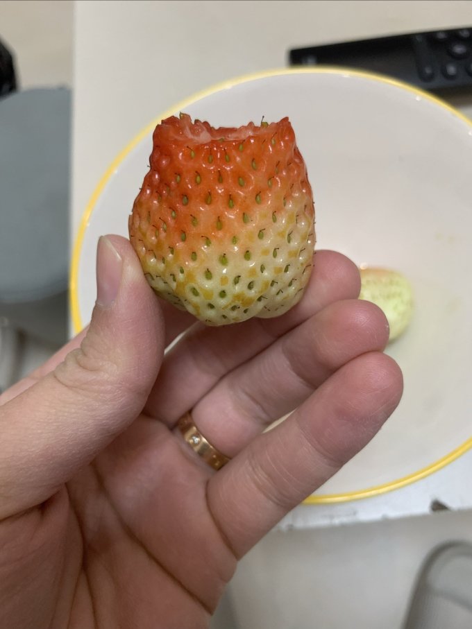 京觅草莓