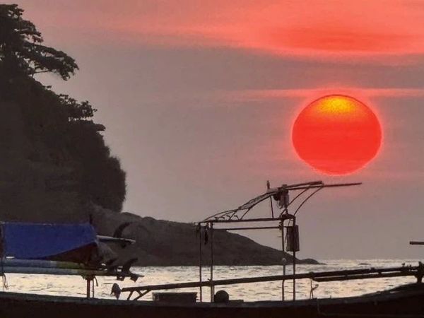 我认出风暴而激动如大海