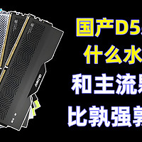 国产D5内存什么水平 和主流颗粒比孰强孰弱