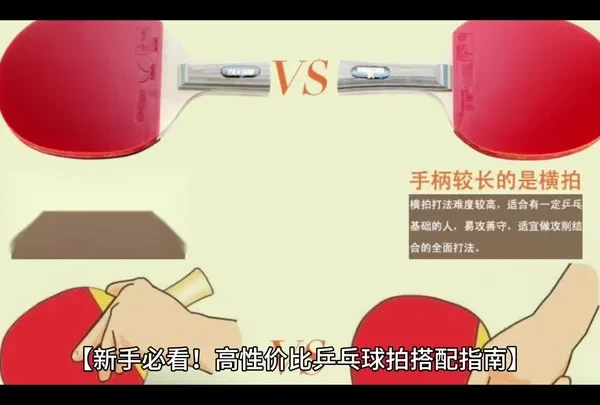 刚接触乒乓球的新手必看，高性价比乒乓球拍搭配指南！#乒乓球#乒乓球拍搭配#乒乓#乒乓球拍搭配推荐
