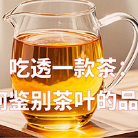 吃透一款茶：如何鉴别茶的品质？从“树上”到“杯中”全面剖析！