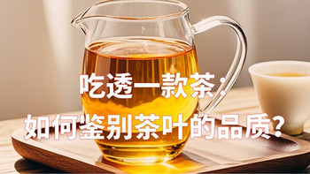 吃透一款茶：如何鉴别茶的品质？从“树上”到“杯中”全面剖析！