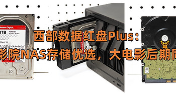 西部数据红盘Plus：家庭影院NAS存储优选，大电影后期同款！