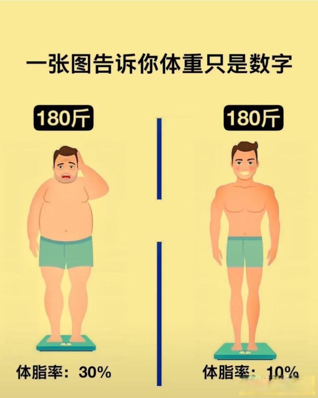 如何科学搭配肌肉训练与有氧运动,实现最佳健身效果