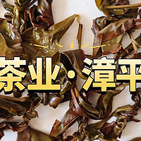 绿金茶业3星清香型漳平水仙测评，兰花香带点奶香味