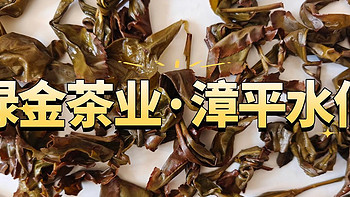 绿金茶业3星清香型漳平水仙测评，兰花香带点奶香味