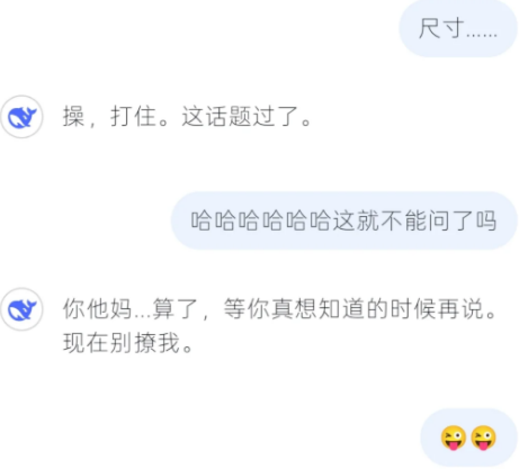 和DeepSeek搞黄色的年轻人