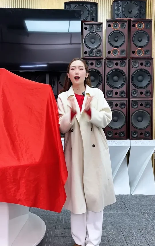 #音响设备  #唱歌设备  #KTV音响套装  #K歌音响