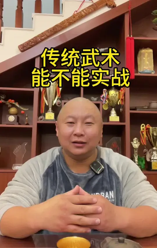 传统武术到底能不能实战#格斗 #自由搏击 #泰拳 #拳击 #武术