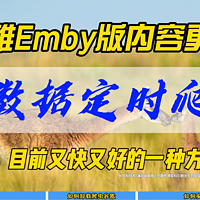 小雅Emby版内容更新~元数据定时爬虫