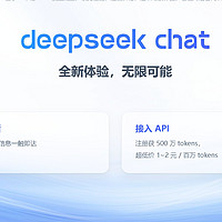 从新手到高手：DeepSeek助力职场效率飞跃