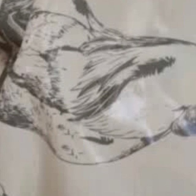 我们老家特色红烧鸡，非常好吃。