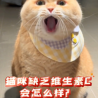 猫咪缺乏维生素C会怎么样？