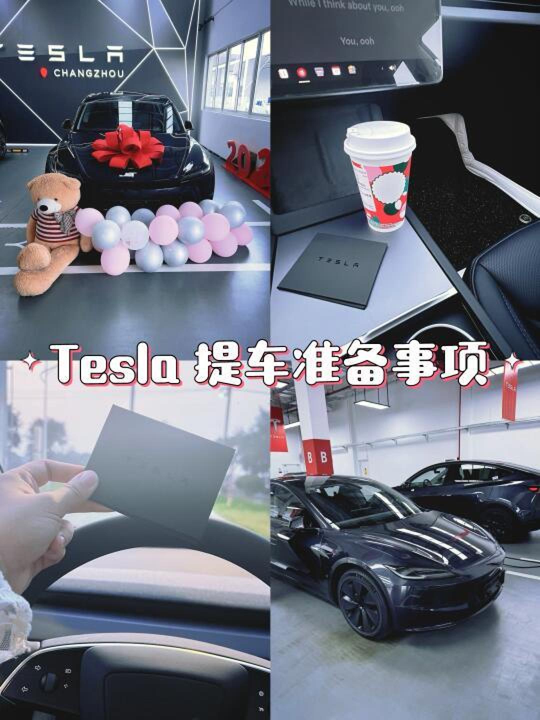 特斯拉提车必知全攻略：验车要点和配件选择详解