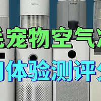 空气净化器可以吸附猫毛吗？看完学会买对不买贵！