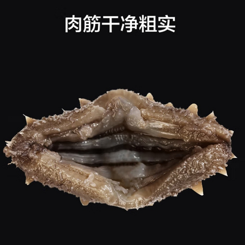 京东京造大连冷冻即食海参，健康滋补的美味之选