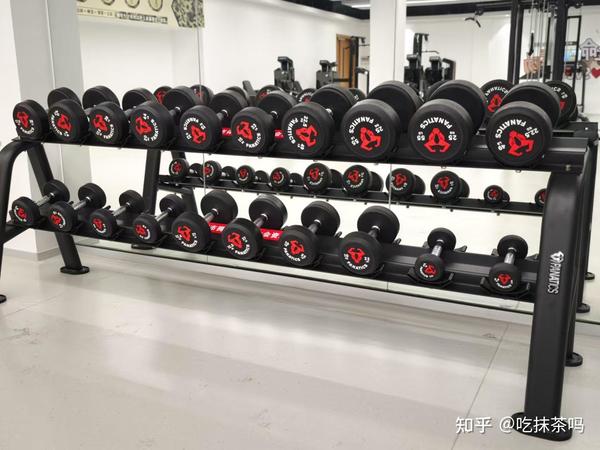 哑铃练核心选择多少斤合适？