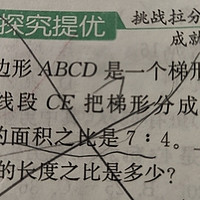 【小学生数学题】大伙儿说说，是DeepSeek错了，还是我错了？（投票在最后）