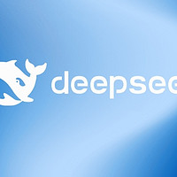 DeepSeek大模型落地应用：方案生成与优化全解析