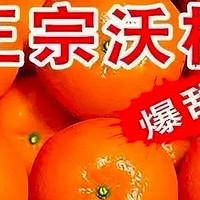 细品武鸣沃柑的甜与酸