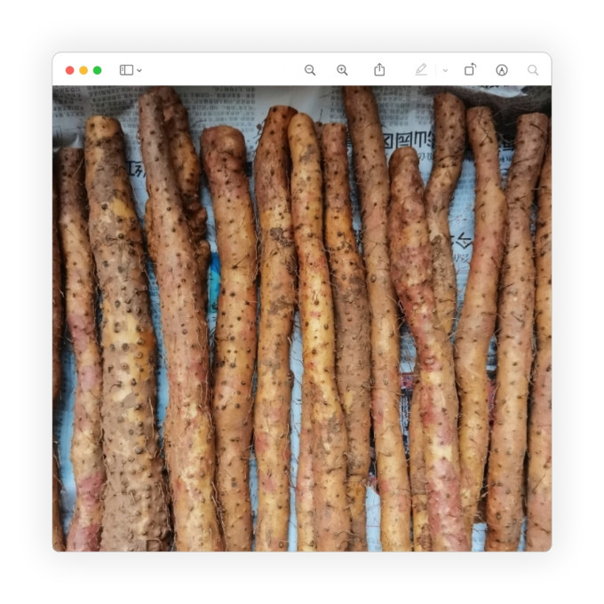 聚怀斋蔬菜