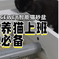 2只猫用CEWEY猫砂盆的使用体验