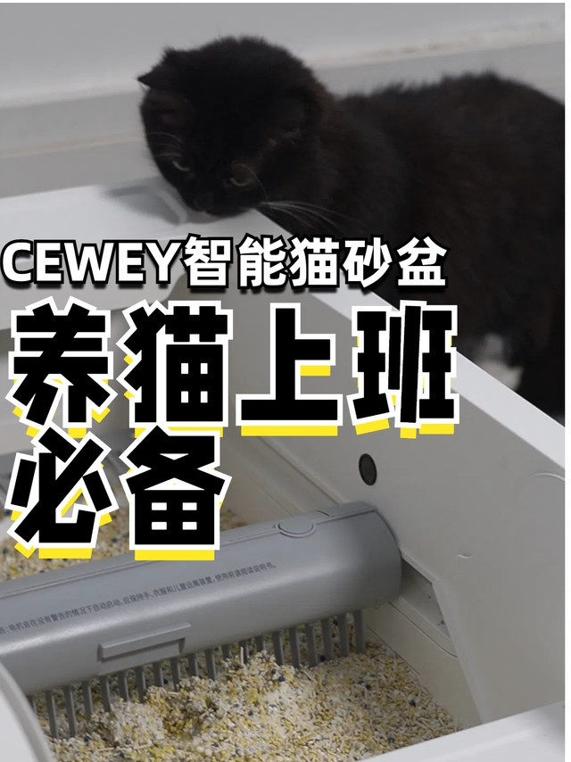 2只猫用CEWEY猫砂盆的使用体验