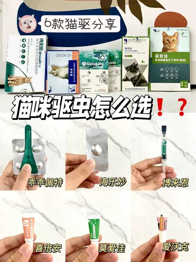 热门猫咪驱虫分享！！新手养猫必看！！
