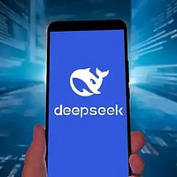 优化DeepSeek笔记的有效策略