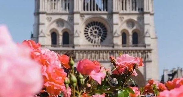 中国机长