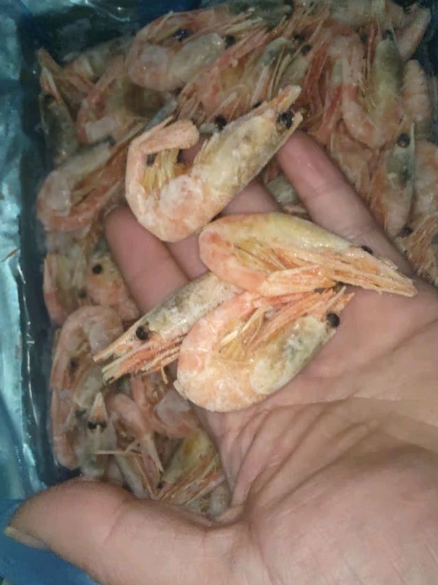 鲜京采北极甜虾 —— 年味之选，鲜美盛宴