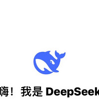 deepseek实用小助手