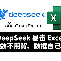 DeepSeek，打工人的数据处理救星