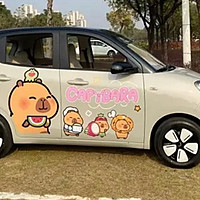 刚买完不久五菱宏光MINI EV，给大家分享一下用车体验。