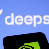 DeepSeek大模型的神奇应用：开启方案生成与创新的新纪元

 