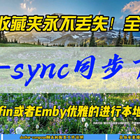 B站收藏夹永不丢失！Bili-sync同步下载~