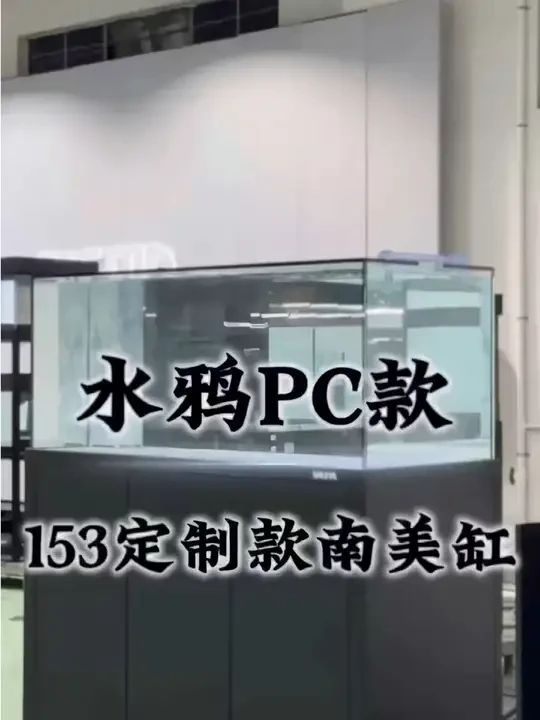 拥有过的宁静是，滤过城市的喧嚣，坐在鱼缸前的自己，鱼缸好养什么看着都舒服，迎接鱼缸里一整个会呼吸的春天的到来。#水族 #现场实拍 #水鸦 #水鸦南美缸。