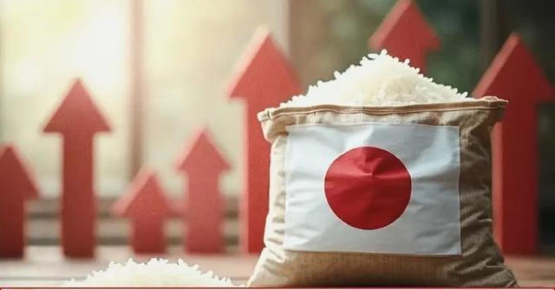 日本米价涨势不减,政府释储备米应对深层次农业问题暴露