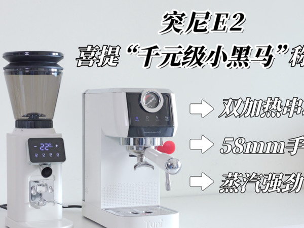 扮猪吃老虎？评测千元级性能小怪兽突尼E2