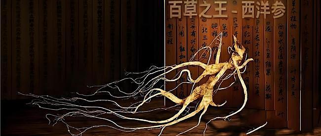 ​西洋参什么牌子好最正宗，西洋参适合那些人吃