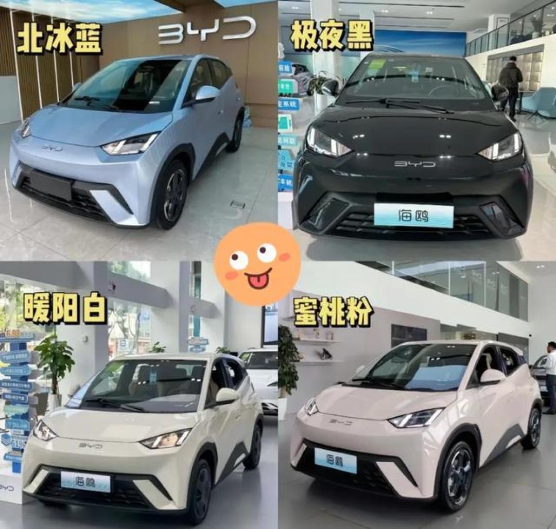 2025购车指南:比亚迪海鸥、海豚、海豹哪款更适合你?