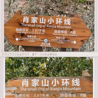 春日肖家山，亲子徒步初体验