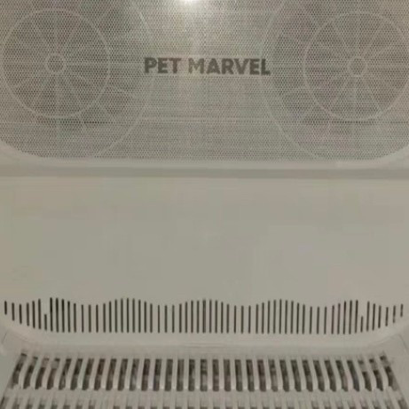 给宠物洗澡后的新宠利器