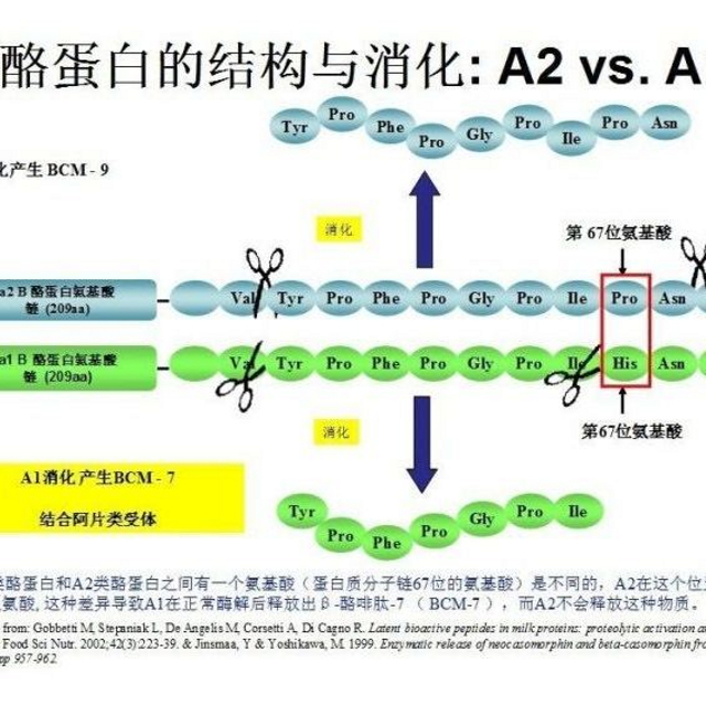 A2β-酪蛋白纯牛奶：健康生活的优选伴侣