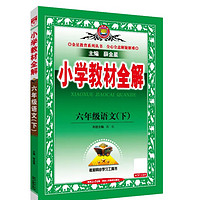 小学教材全解 六年级语文下 2025春 薛金星 同步课本 教材解读 