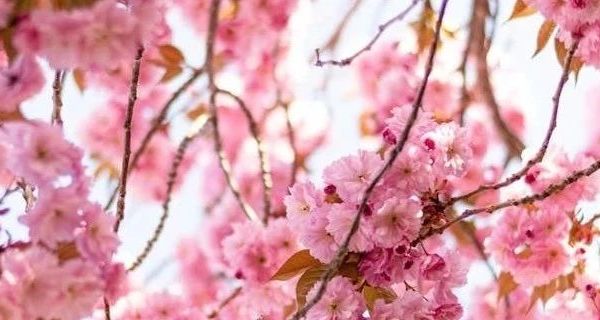 冬季儿童手套挑选指南！Kocotree多维度分析