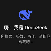 DeepSeek爆火，凭什么？