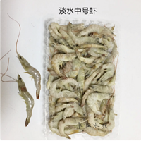 精选冷冻鱼饲料，助力龙鱼虎鱼健康成长